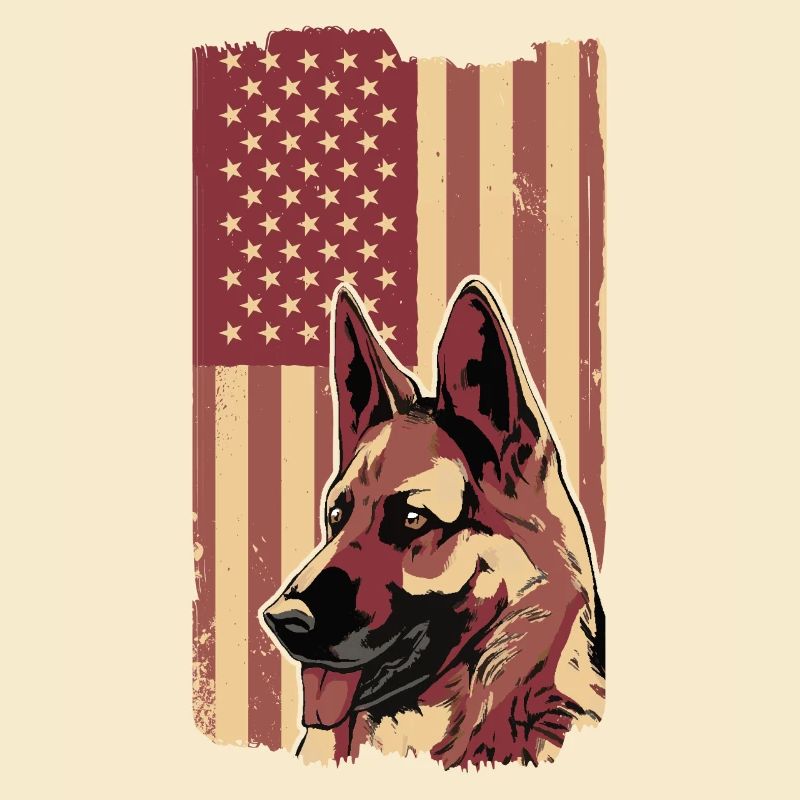 Malinois Hund