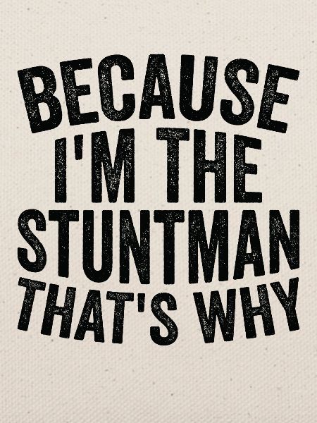 Weil Ich Stuntman Bin