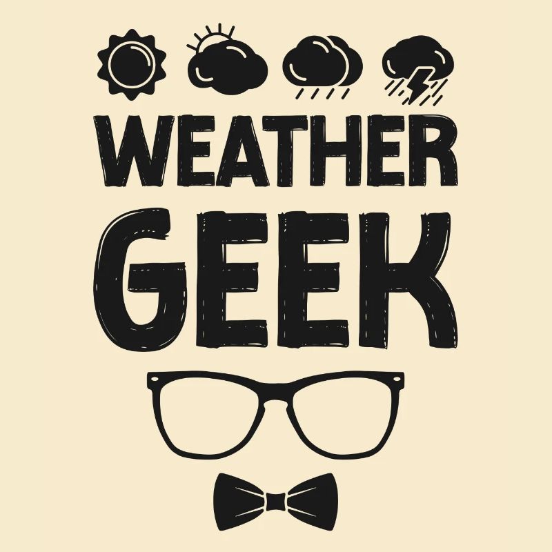 Meteorologist Weather Forecast