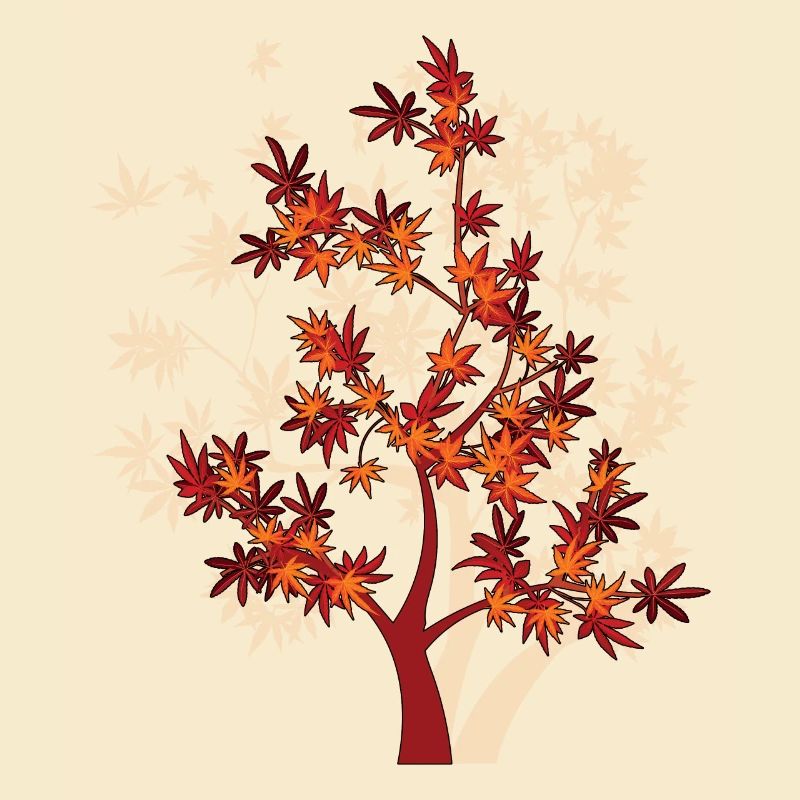 Baum