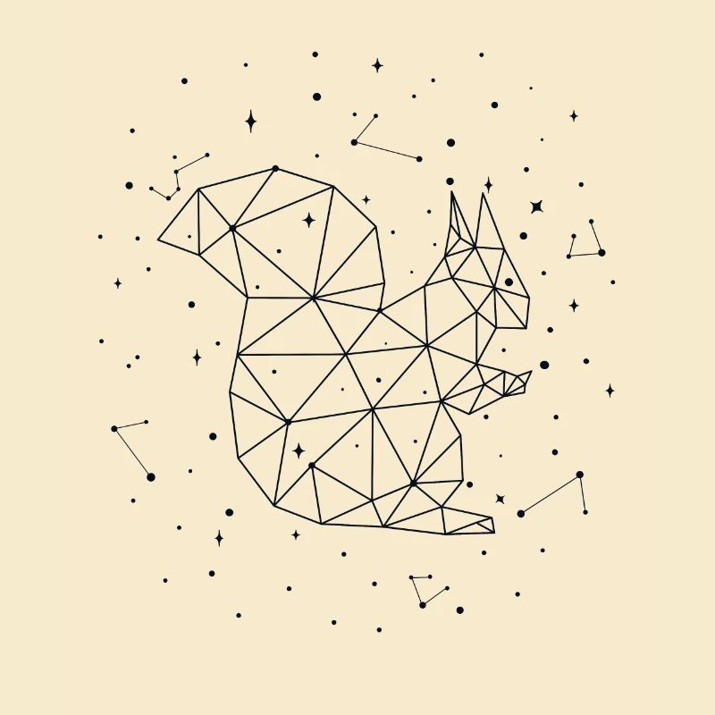 Sternbild Squirrel Constellation Eastern Gray Fox