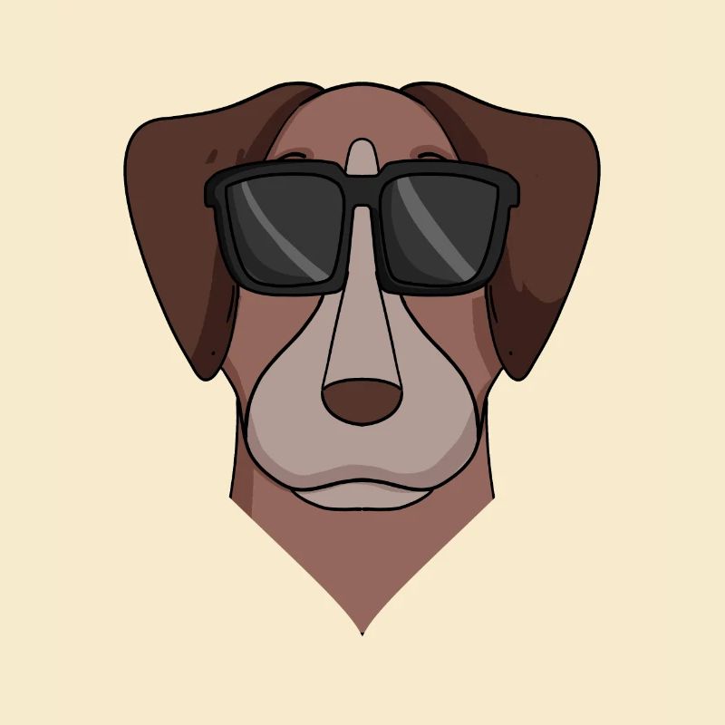 Pointer Hund Hunderasse