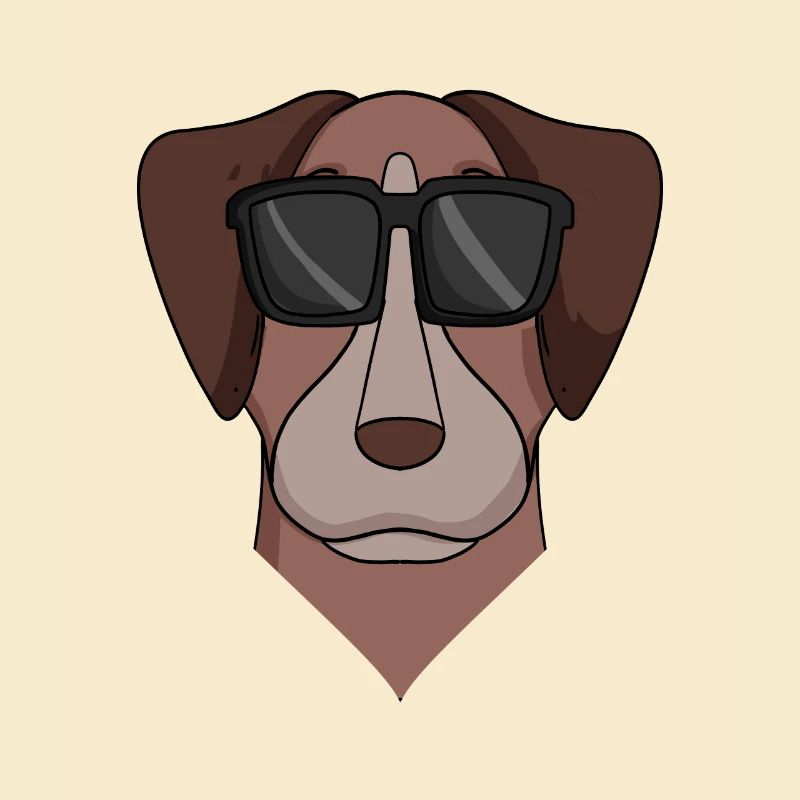 Pointer Hund Hunderasse