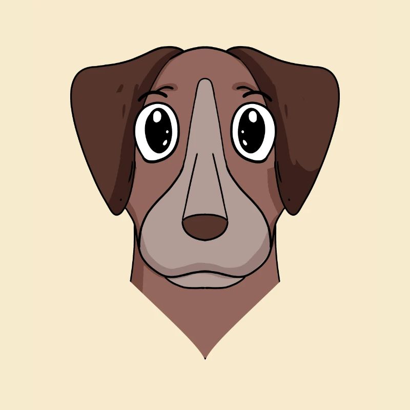 Pointer Hund Hunderasse