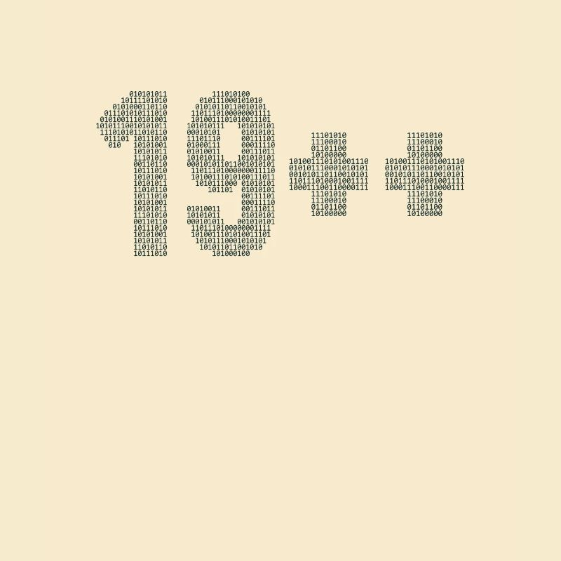 19++ Programmeur Ingénieur logiciel Codeur 20e