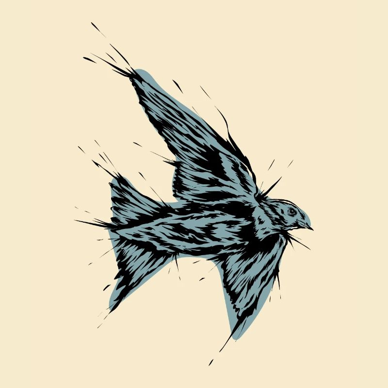 Vogel Schwalbe