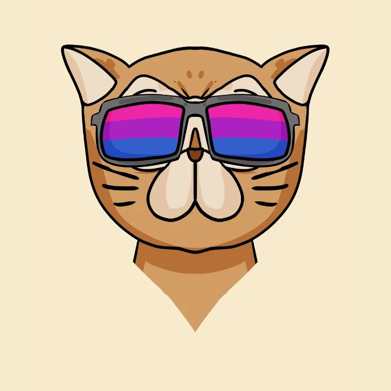 Bisexuell Perserkatze Katze Geschenk