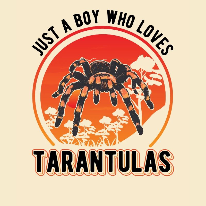 Tarantel Junge Tarantula