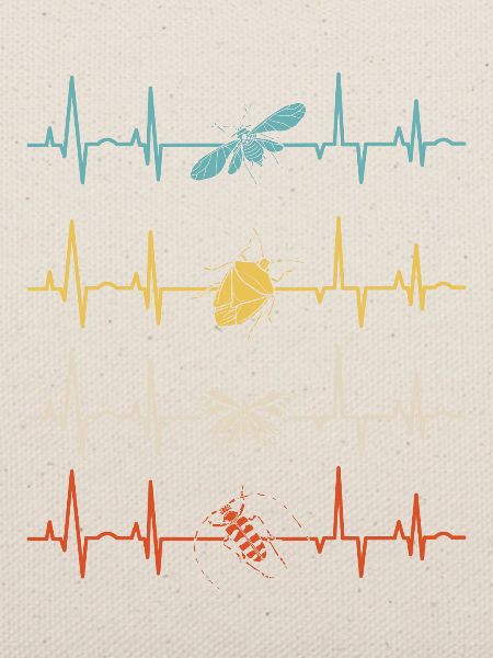 Entomology Entomologist Insects Bugs Heartbeat