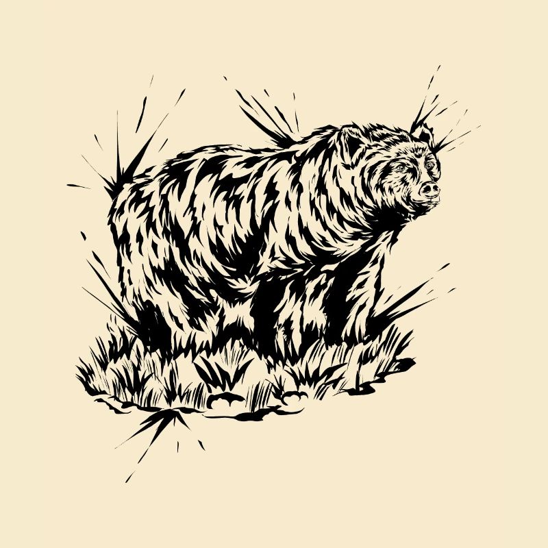 Grizzly Bär