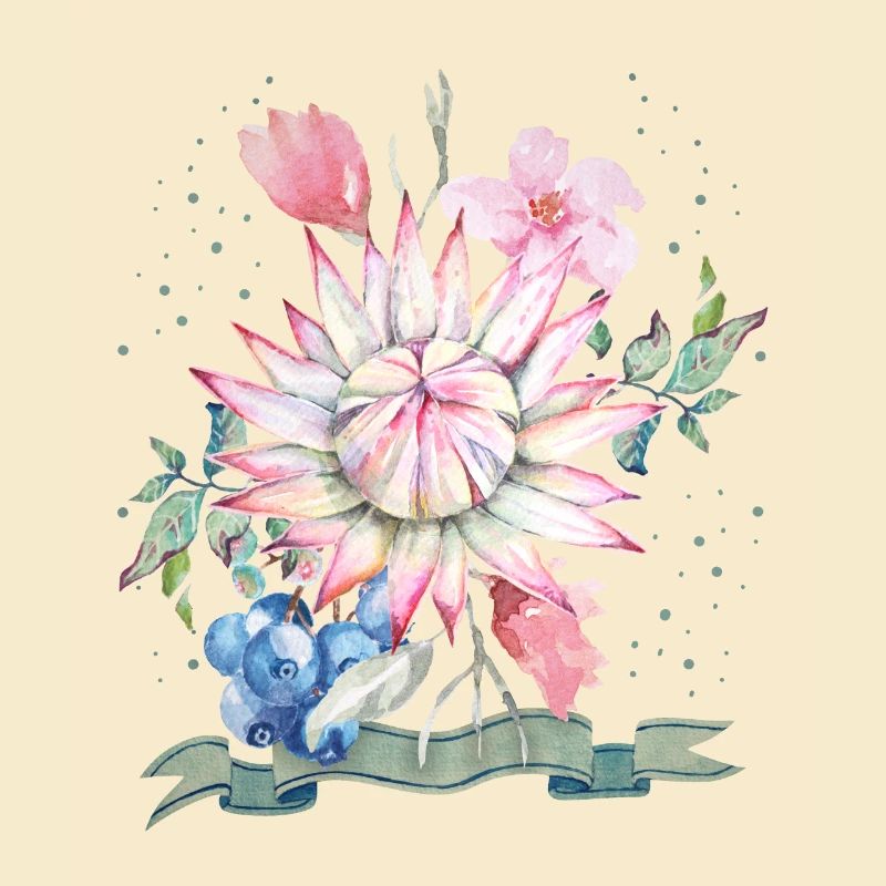 Protea watercolor, protea illustration