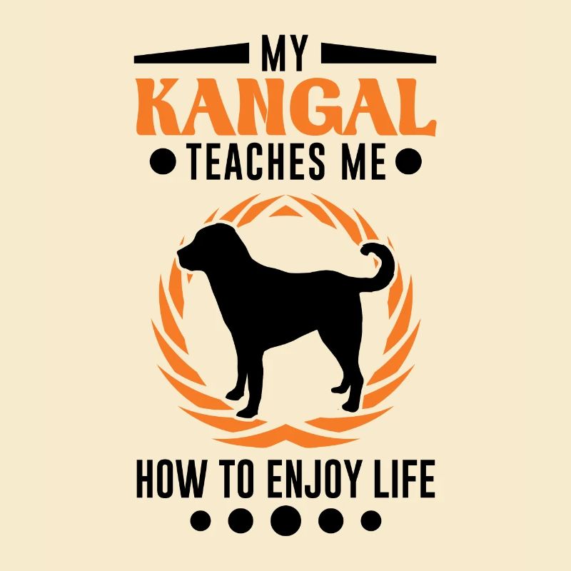Mon Kangal m’apprend à profiter de la vie Kangal