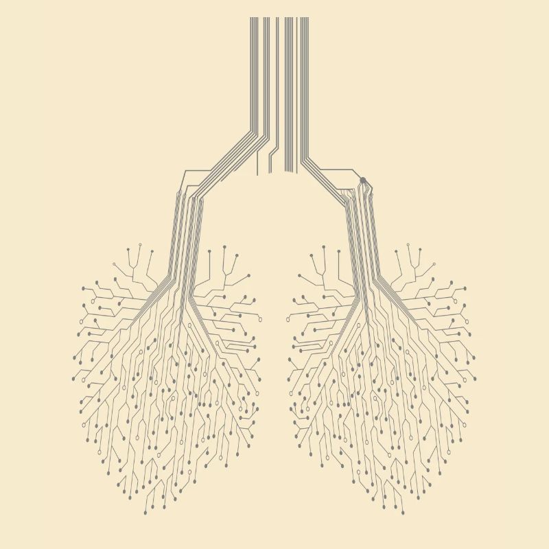 Computer Scientist Computer Science Programmer Nerd Geek