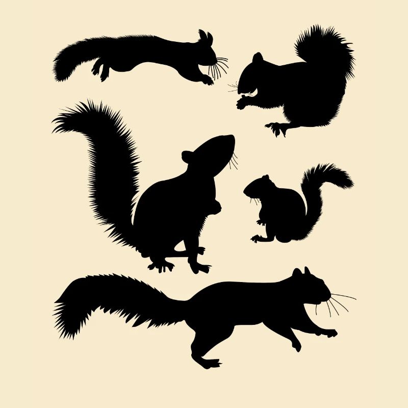 Squirrel, cute squirrel lover,