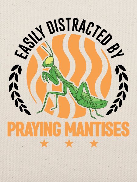 Gottesanbeterin Mantis Fangschrecke