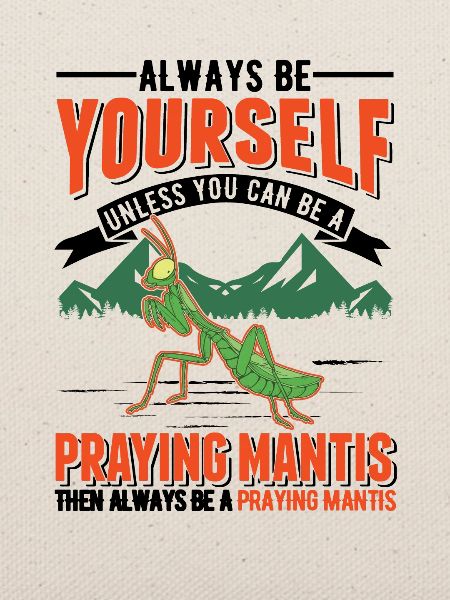 Gottesanbeterin Mantis Fangschrecke