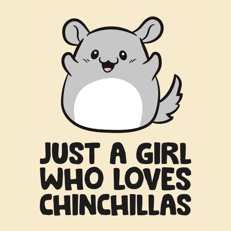 Süßes Chinchilla Nur ein Mädchen, das Chinchillas