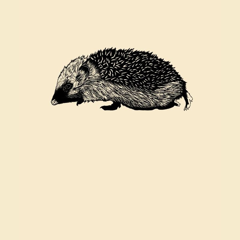 Zeichnung eines Igel