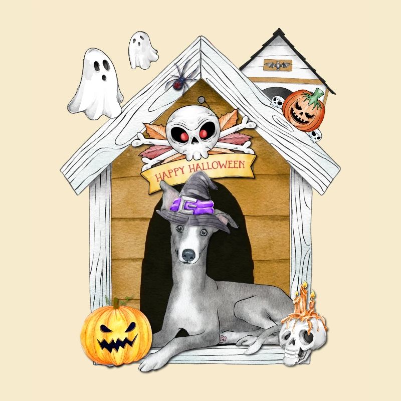 Halloween Windhund Hund Hexe