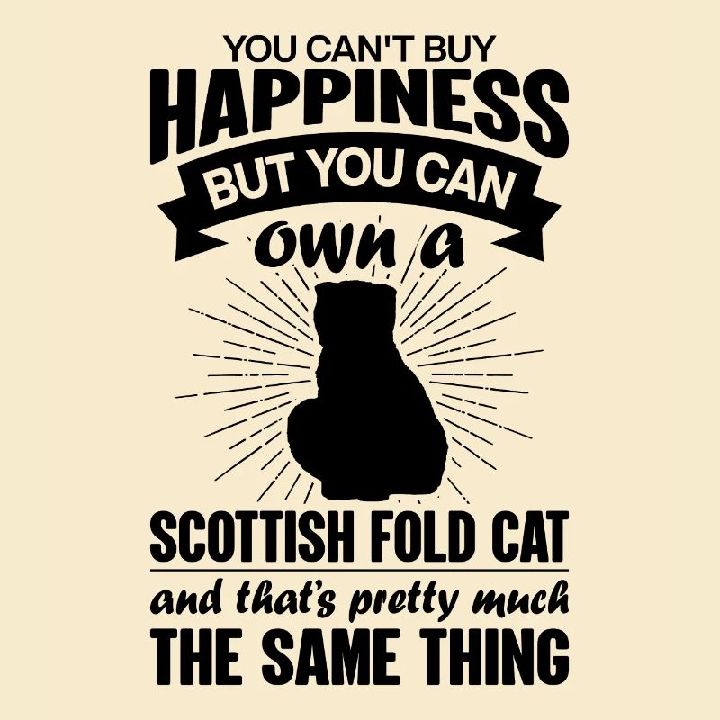 Peut acheter un chat Scottish Fold