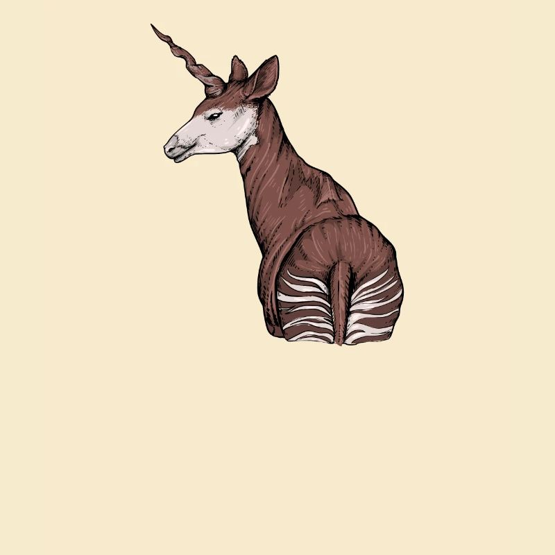 Okapi I Forest Giraffe from the Rainforest for
