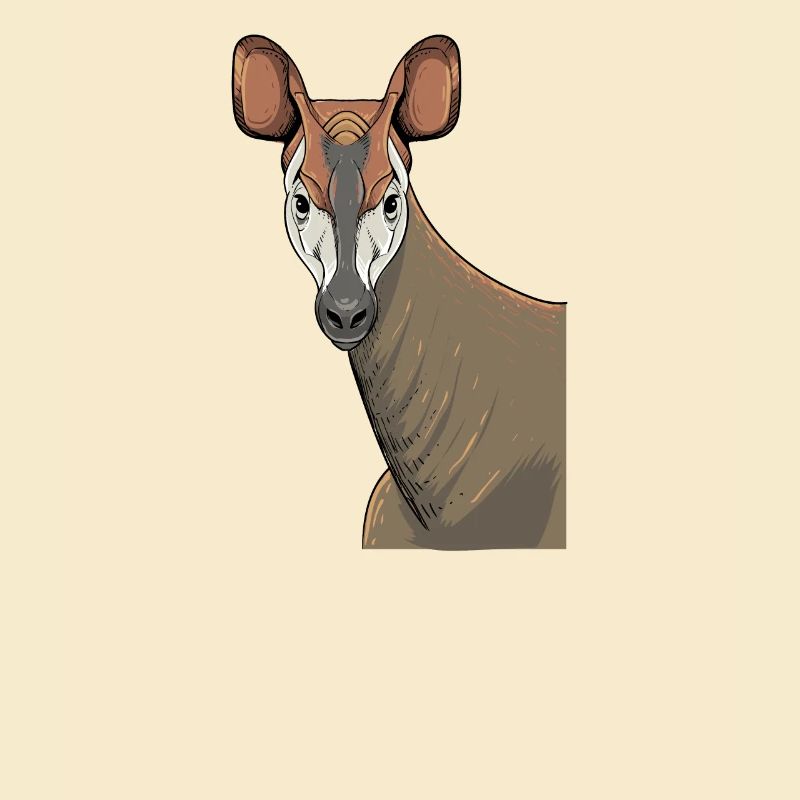 Okapi I Forest Giraffe from the Rainforest for