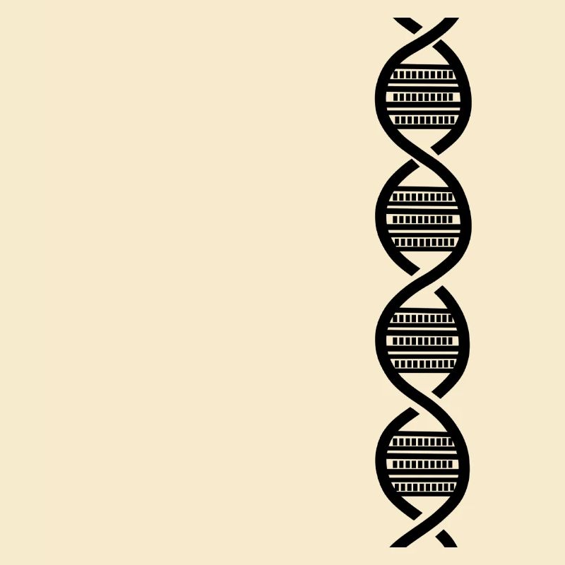 Black DNA harmonica for harmonica player