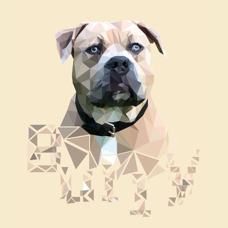 American Bully Farbe