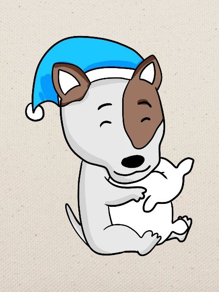 Hund Hunderasse Bullterrier