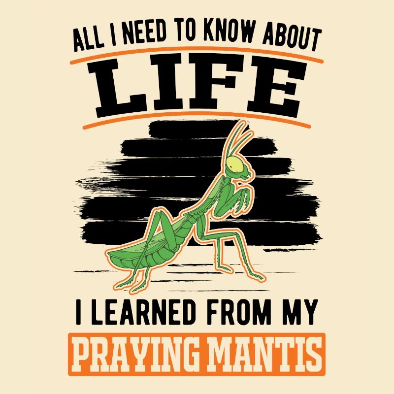 Gottesanbeterin Mantis Fangschrecke