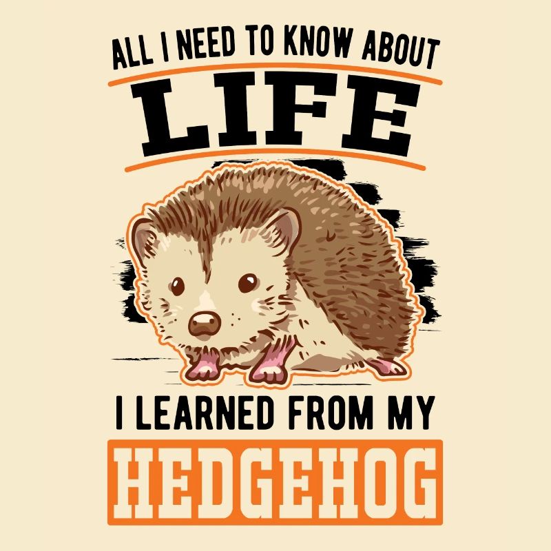 Igel Geschenk Stacheligel