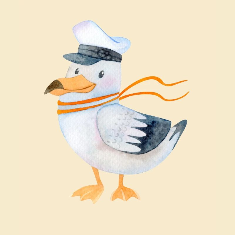 Möwe