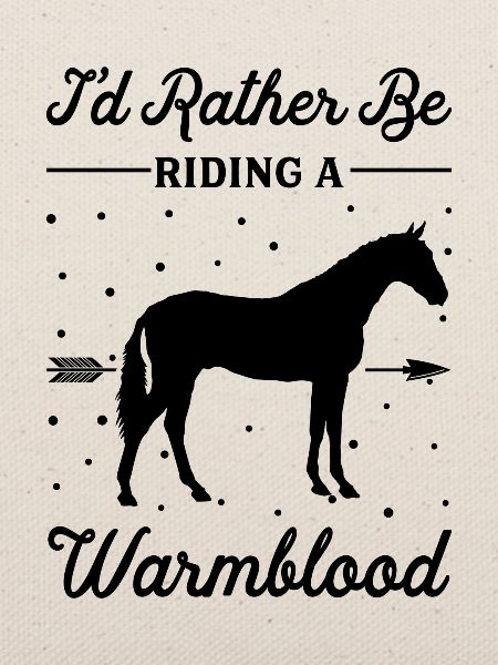 Reiten Eines Warmblütigen Pferdes