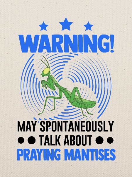 Gottesanbeterin Mantis Fangschrecke
