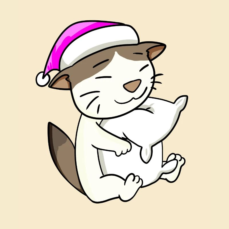 Katze Katzenrasse RagaMuffin