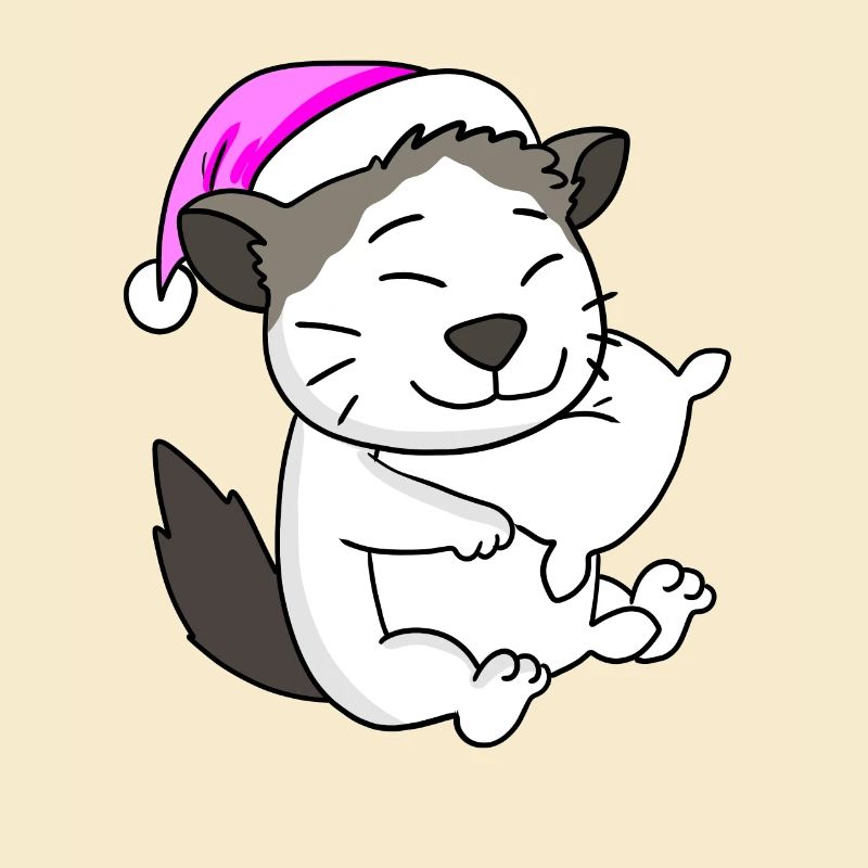 Katze Katzenrasse Ragdoll