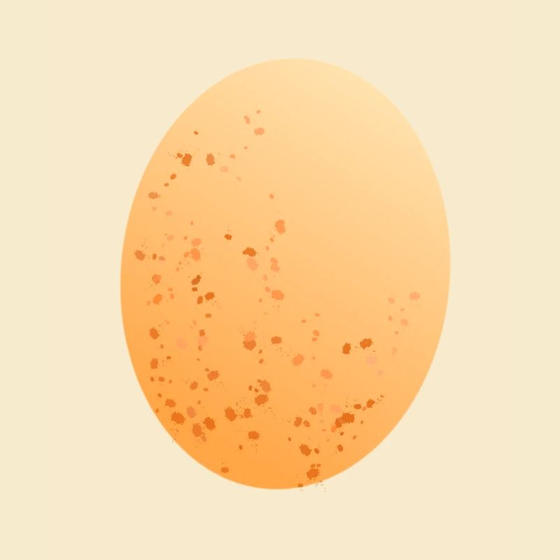 Egg chicken egg