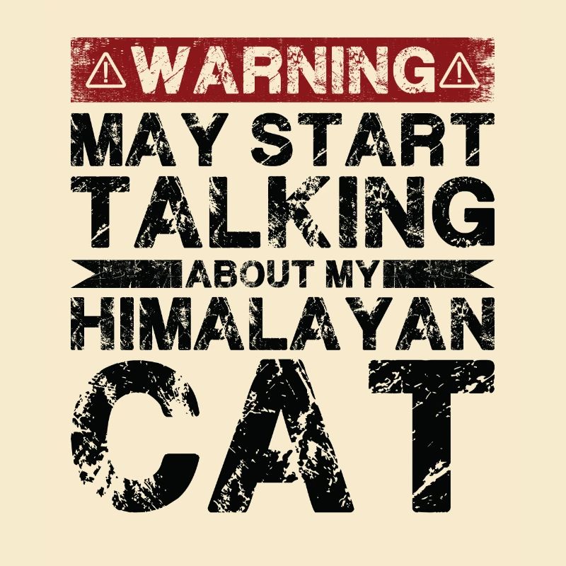 Apropos Himalaya-Katze