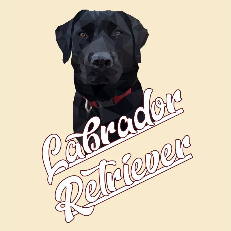 Black Labrador Retriever Drawing Polygon