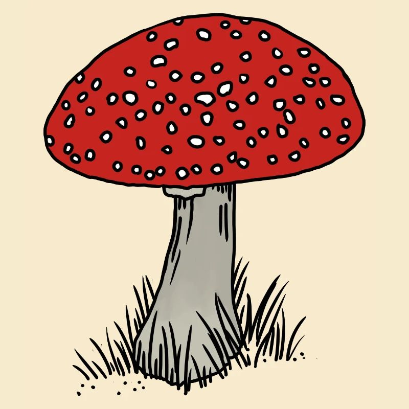 Toadstool colored