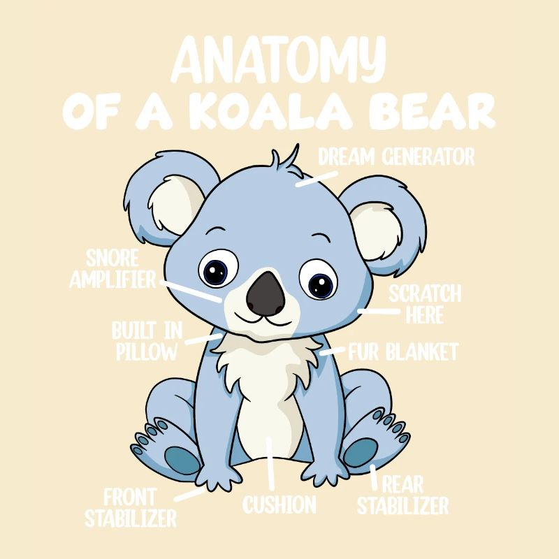 Anatomie eines Koala-Bären