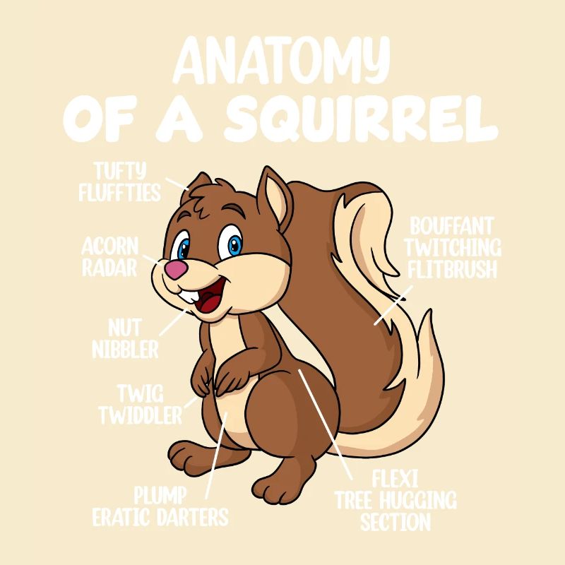 Anatomie eines Eichhörnchens