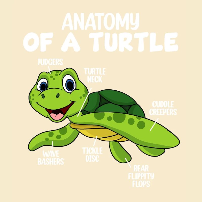 Anatomie einer Schildkröte