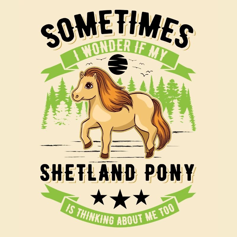 Shetlandpony Geschenk Shetland-Pony Shetty