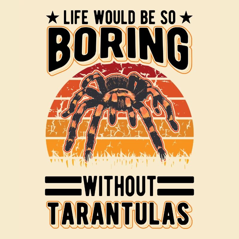 Tarentule Araignée Tarentule