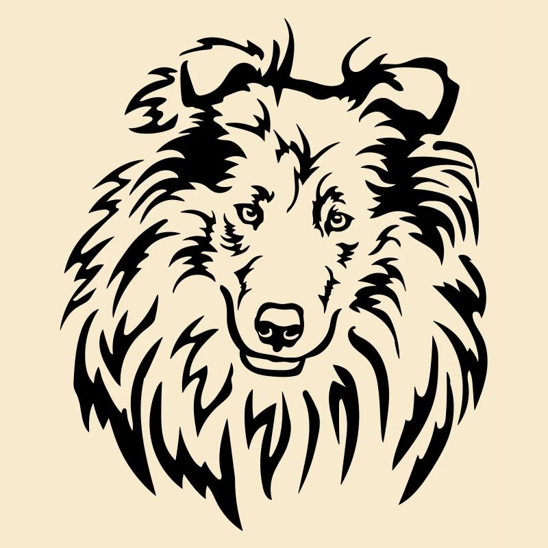 Collie Kopf