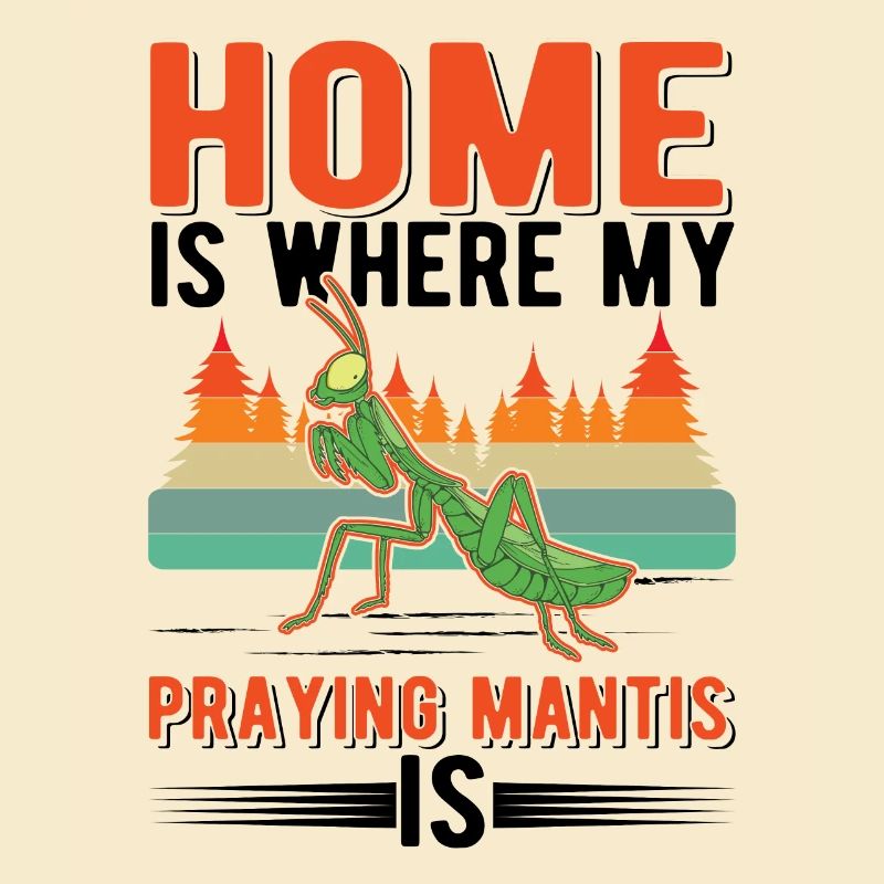 Praying mantis at home Mantis mantis