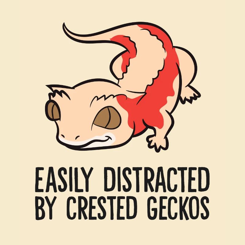 Easily Distracted By Crested Geckos