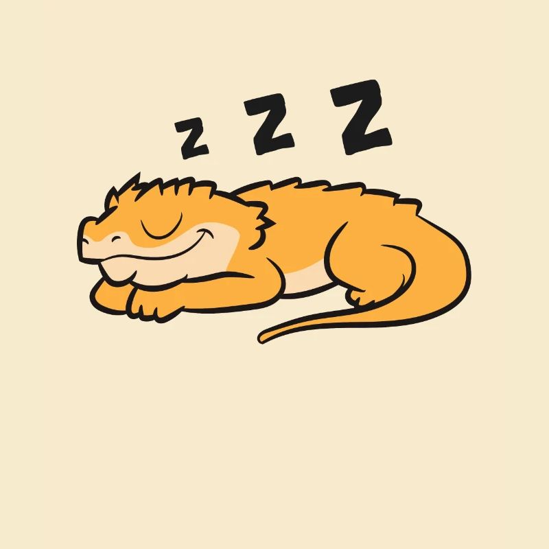 Schopfgecko Pyjama Reptil Eidechse Schlafender