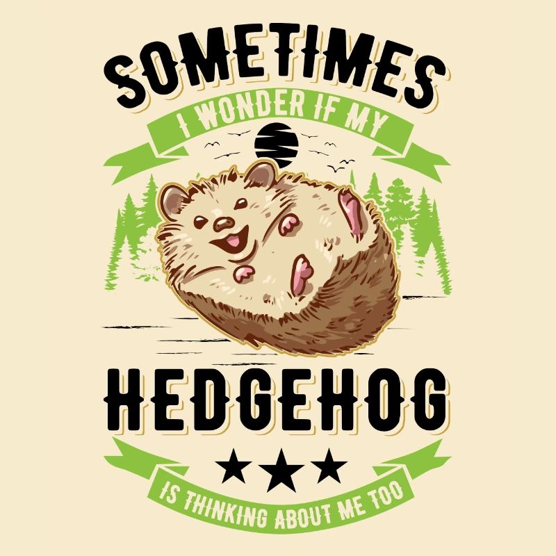 Igel Geschenk Stacheligel